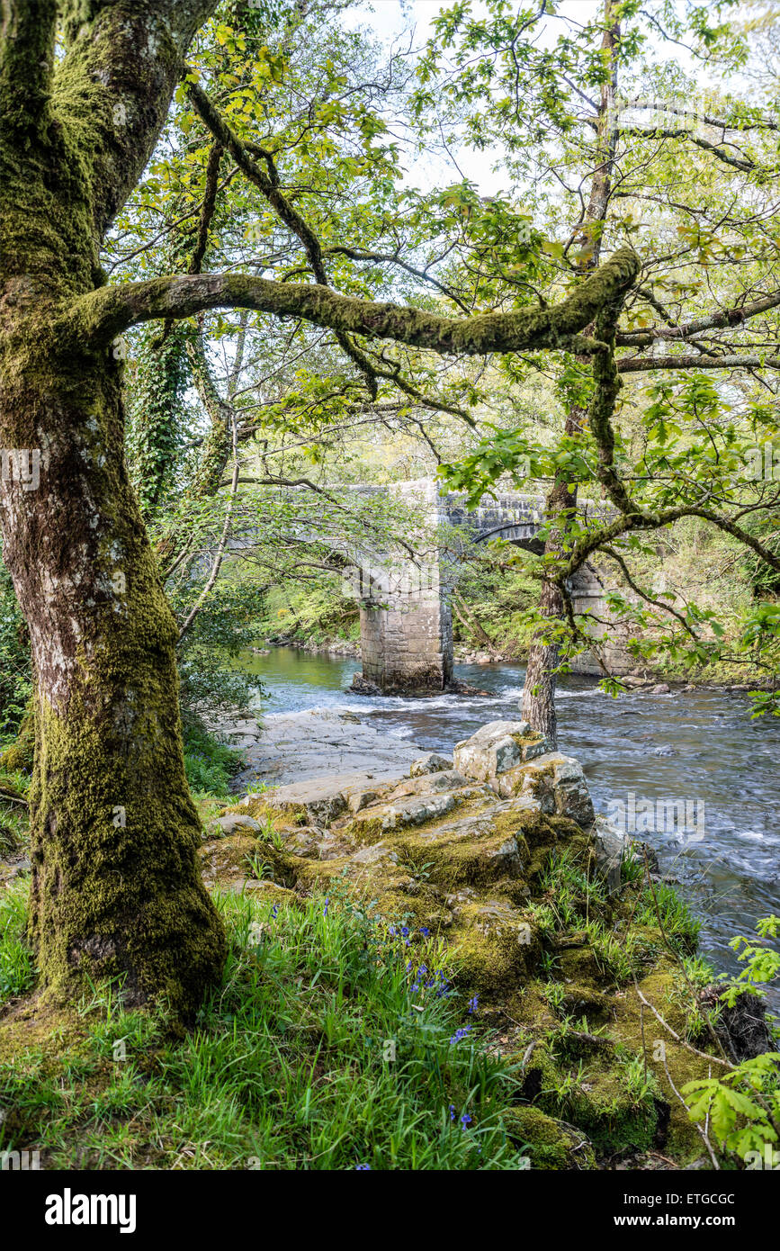 Il ponte di pietra al Parco Nazionale di Dartmoor vicino Badgers Holt, Devon, Inghilterra, Regno Unito Foto Stock