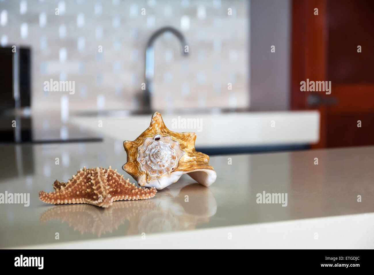 Starfish e conchiglia sul tavolo di pietra alto alla moderna cucina Caraibica Foto Stock