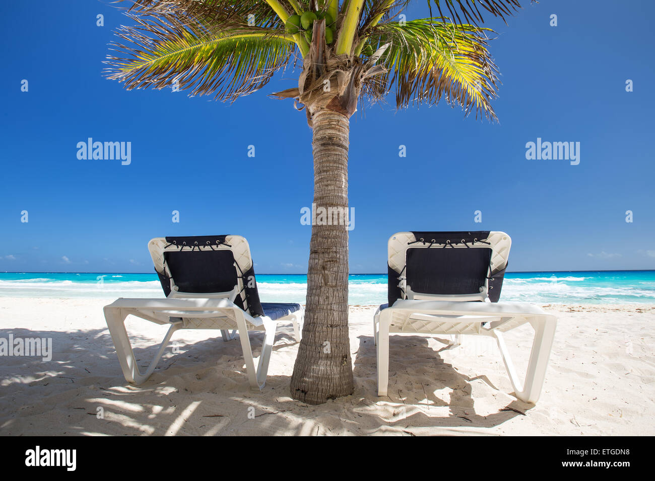 Due lettini da spiaggia sotto il palm tree sul fronte spiaggia Caraibico Foto Stock