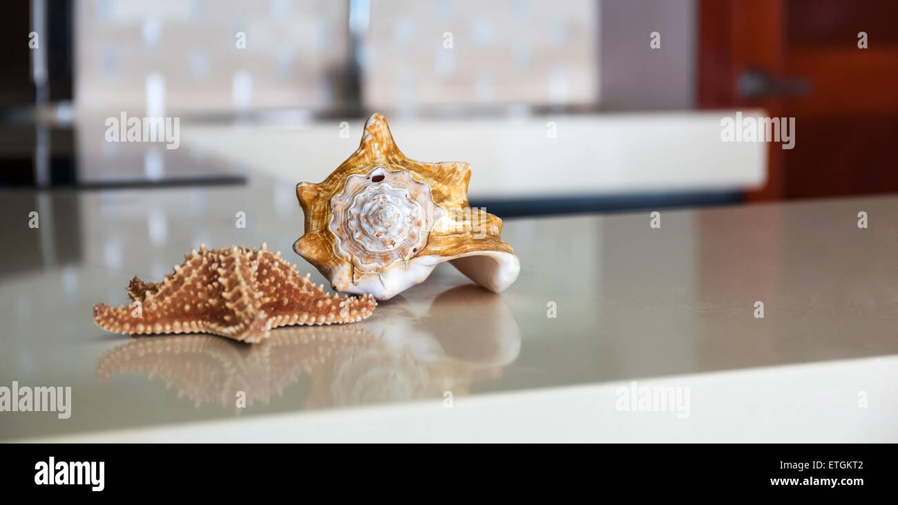 Starfish e conchiglia sul tavolo di pietra alto alla moderna cucina Caraibica Foto Stock