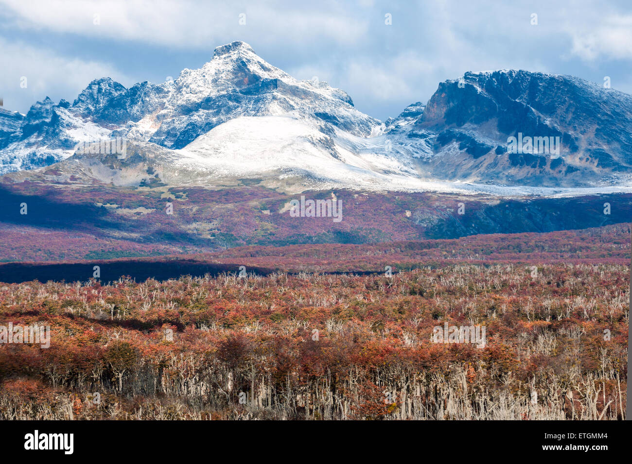 Autunno in Patagonia. Cordillera Darwin, parte della gamma delle Ande, la Isla Grande de Tierra del Fuego, territorio cileno, vista da un Foto Stock