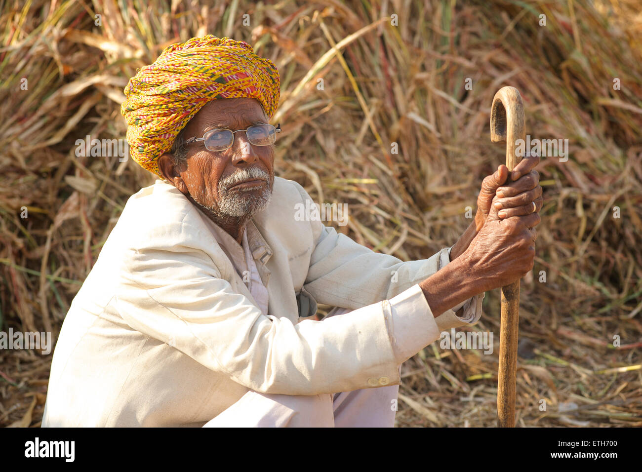 Portarit di Rajasthani uomo in bianche vesti e colorato turbante, Pushkar, Rajasthan, India Foto Stock