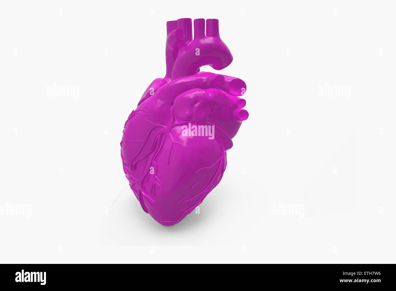 Cuore umano Foto Stock