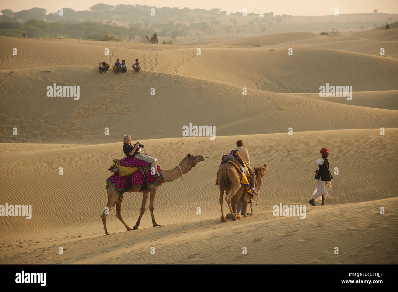 A dorso di cammello nel deserto del Thar a Sam, Rajasthan, India Foto Stock