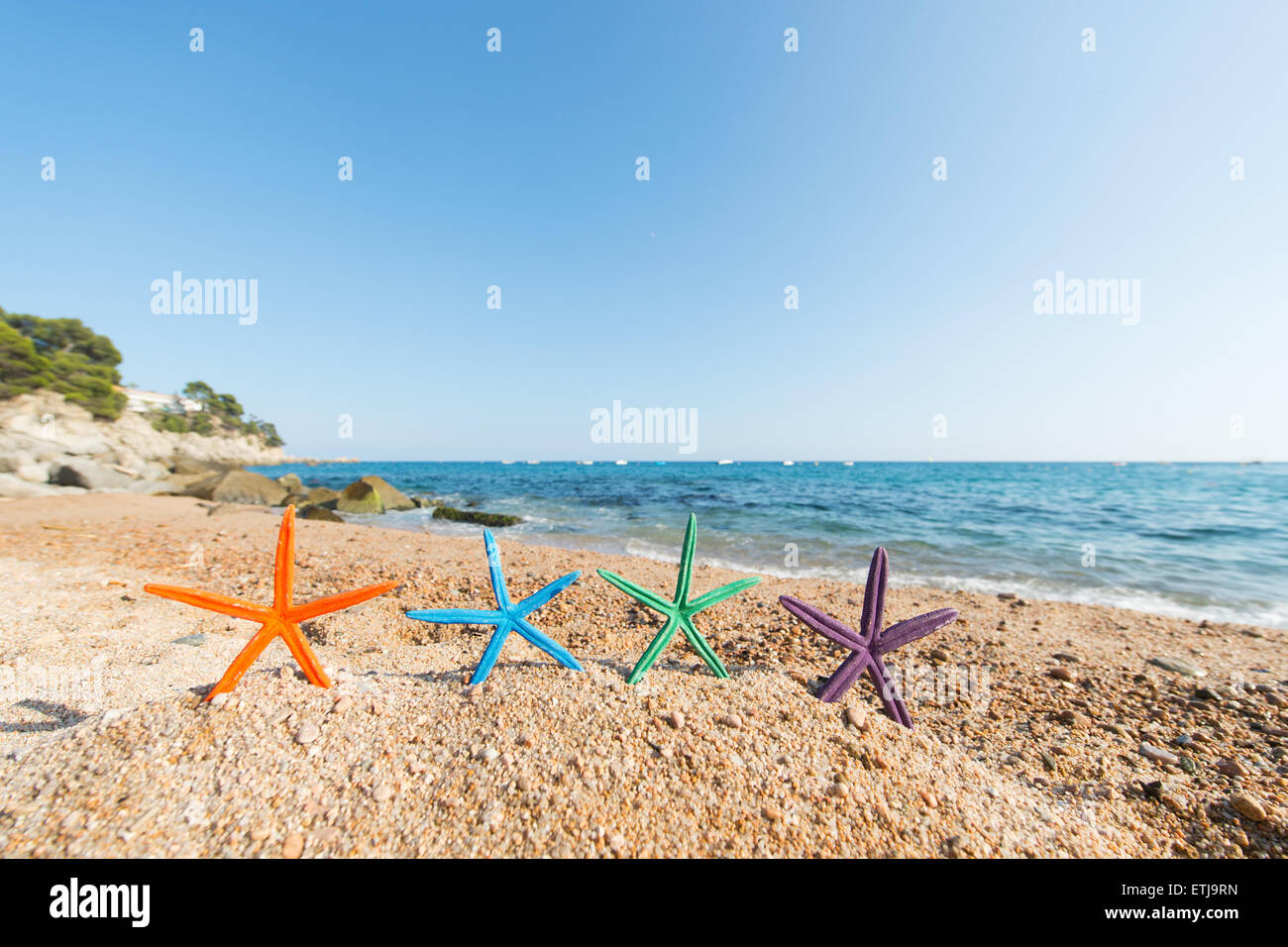 Riga permanente colorato stella di mare in spiaggia Foto Stock