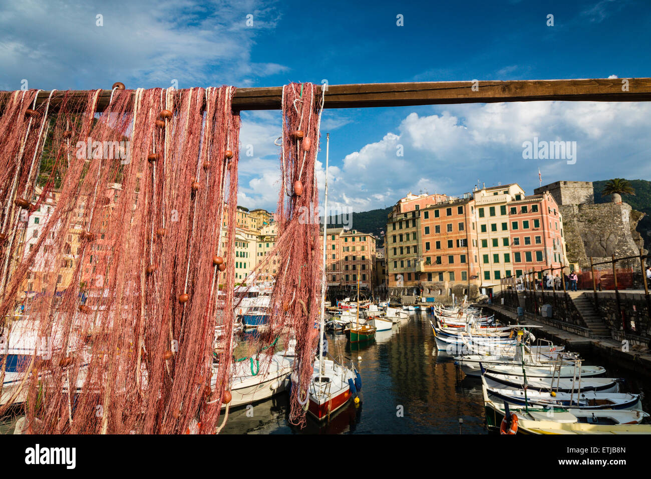 Barche da pesca nel porto di pesca, il villaggio di pescatori di Camogli, la provincia di Genova, Liguria, Riviera Italiana, Levante, Italia, Europa Foto Stock