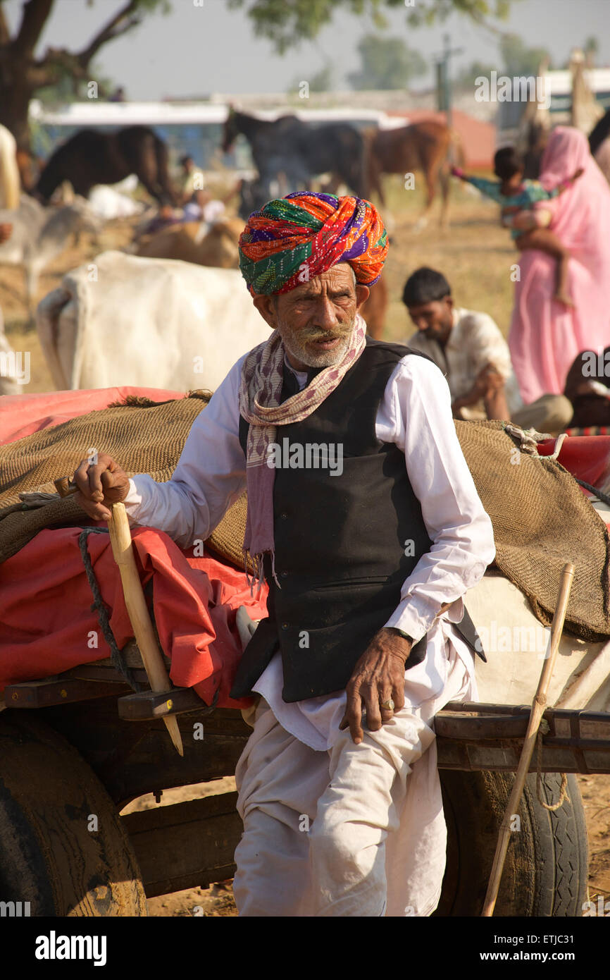 Uomo di Rajasthani in colorate turbante. Fiera di Pushkar, Rajasthan, India Foto Stock