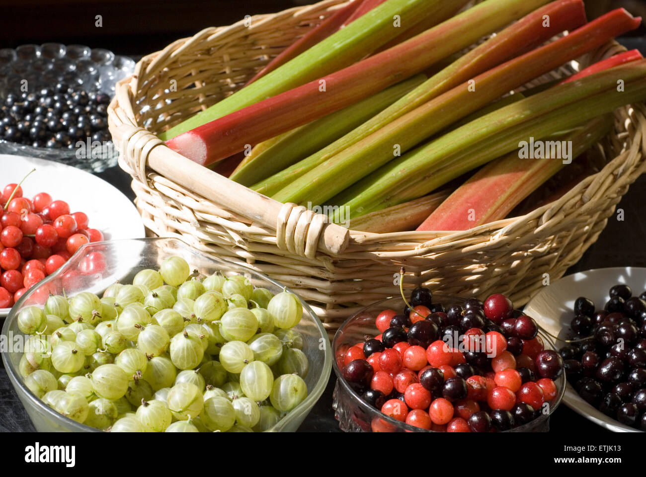 Un cestello di fitocomplessi di rabarbaro circondato da bocce di ciliegie e frutti di bosco Foto Stock