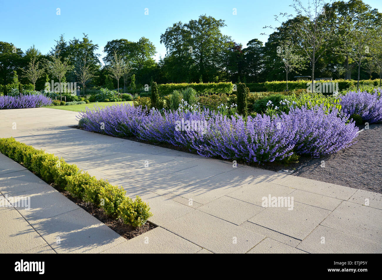 Giardini a Paese Cottage Gardens di Manor House Gardens Foto Stock