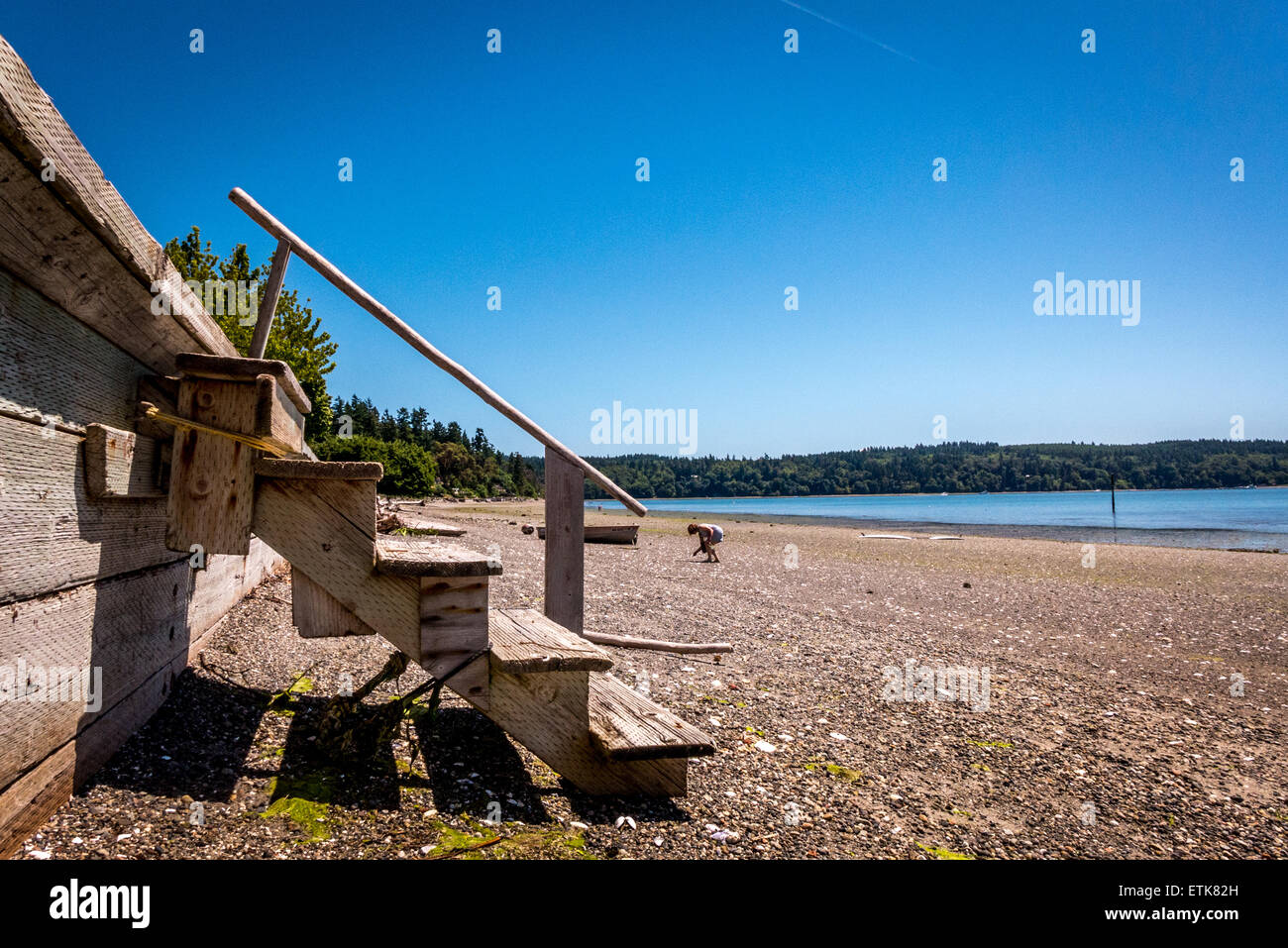 Su una spiaggia a Vashon Island, nello Stato di Washington Foto Stock