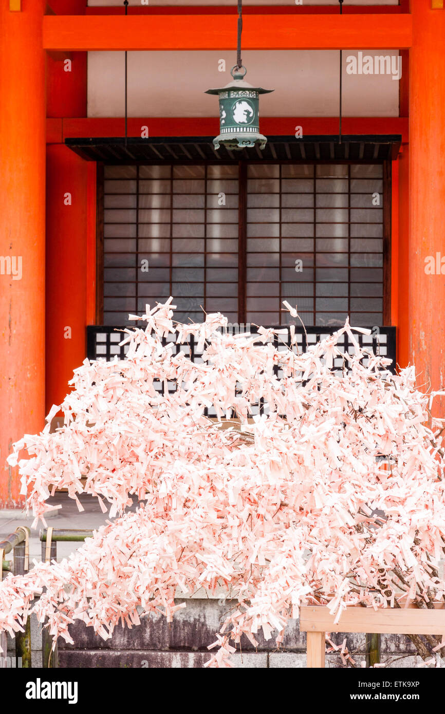 Heian santuario a Kyoto.. Omikuji rosa, sfortuna, scivoli di carta che coprono completamente piccolo albero incorniciato da colonne di vermiglio della sala Kaguraden. Foto Stock