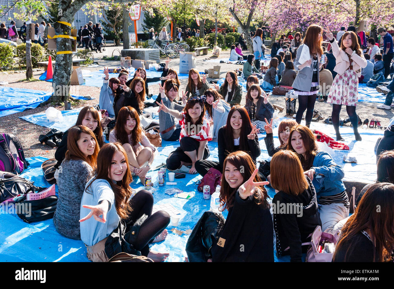 Parco Maruyama a Kyoto. Grande gruppo di giovani donne che siedono sotto i fiori di ciliegia su fogli di plastica blu che hanno partito, la maggior parte guardando lo spettatore. Foto Stock