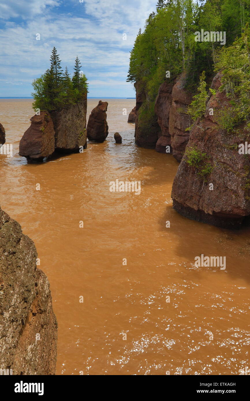 Baia di Fundy Hopewell Rocks Beach ad alta marea, New Brunswick, Canada. Foto Stock