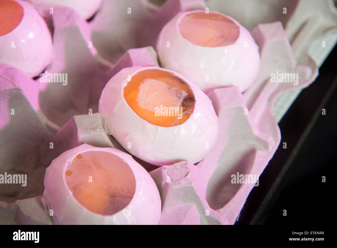 Coperte le uova per la ricerca sugli embrioni in College Park, Maryland, Stati Uniti d'America Foto Stock