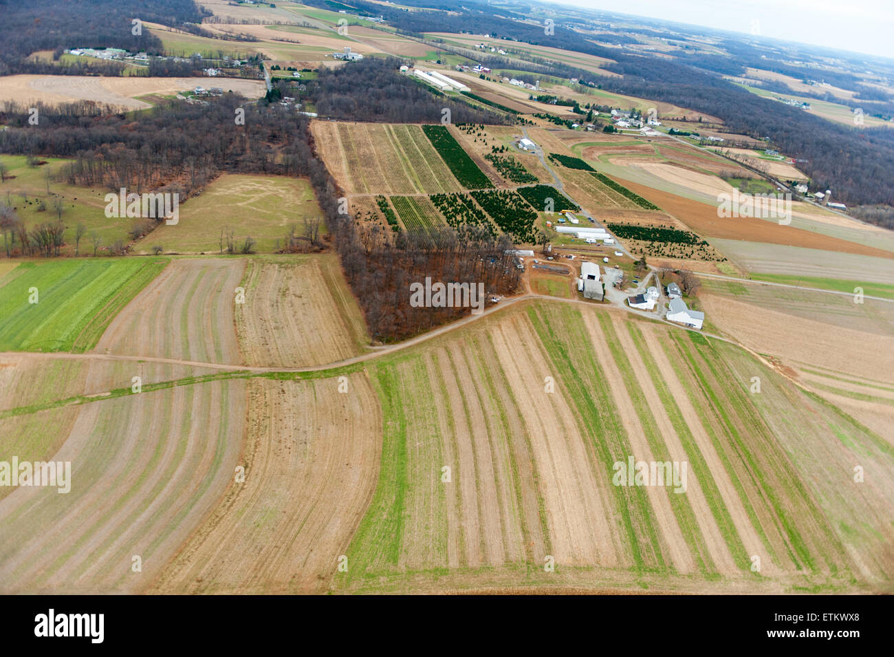 Vista aerea di colture di copertura sui campi di fattoria nel Maryland, Stati Uniti d'America Foto Stock