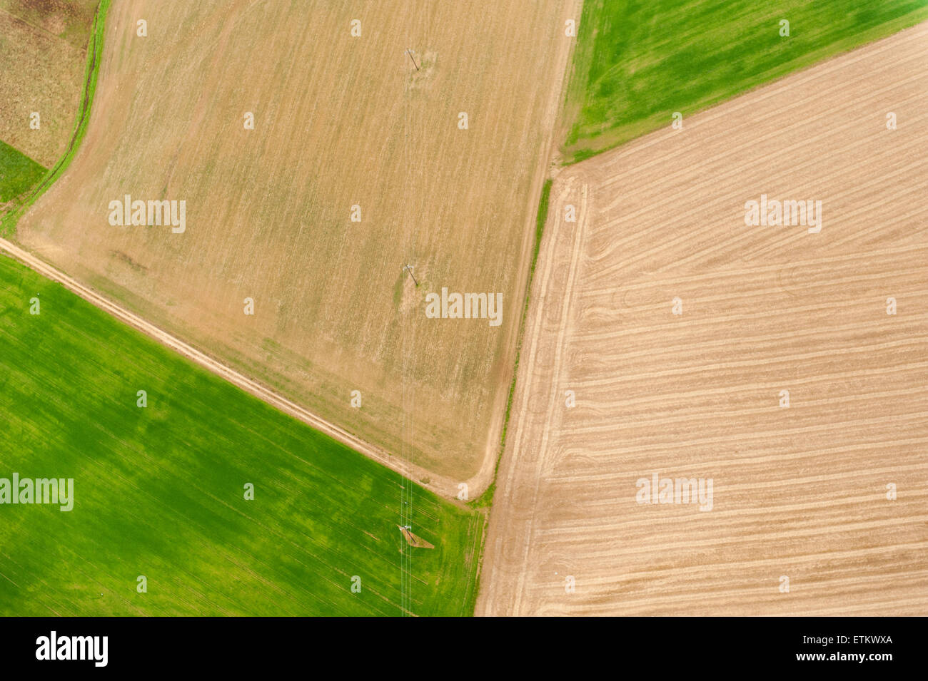 Vista aerea di colture di copertura sui campi di fattoria nel Maryland, Stati Uniti d'America Foto Stock