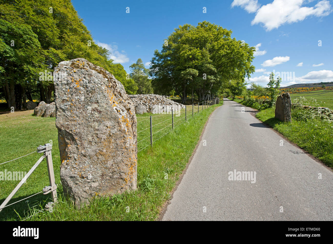 In piedi anello pietre del Neolitico luogo di sepoltura al Balnuran Clava Cairns, nelle vicinanze Culloden, Inverness-shire. SCO 9860. Foto Stock