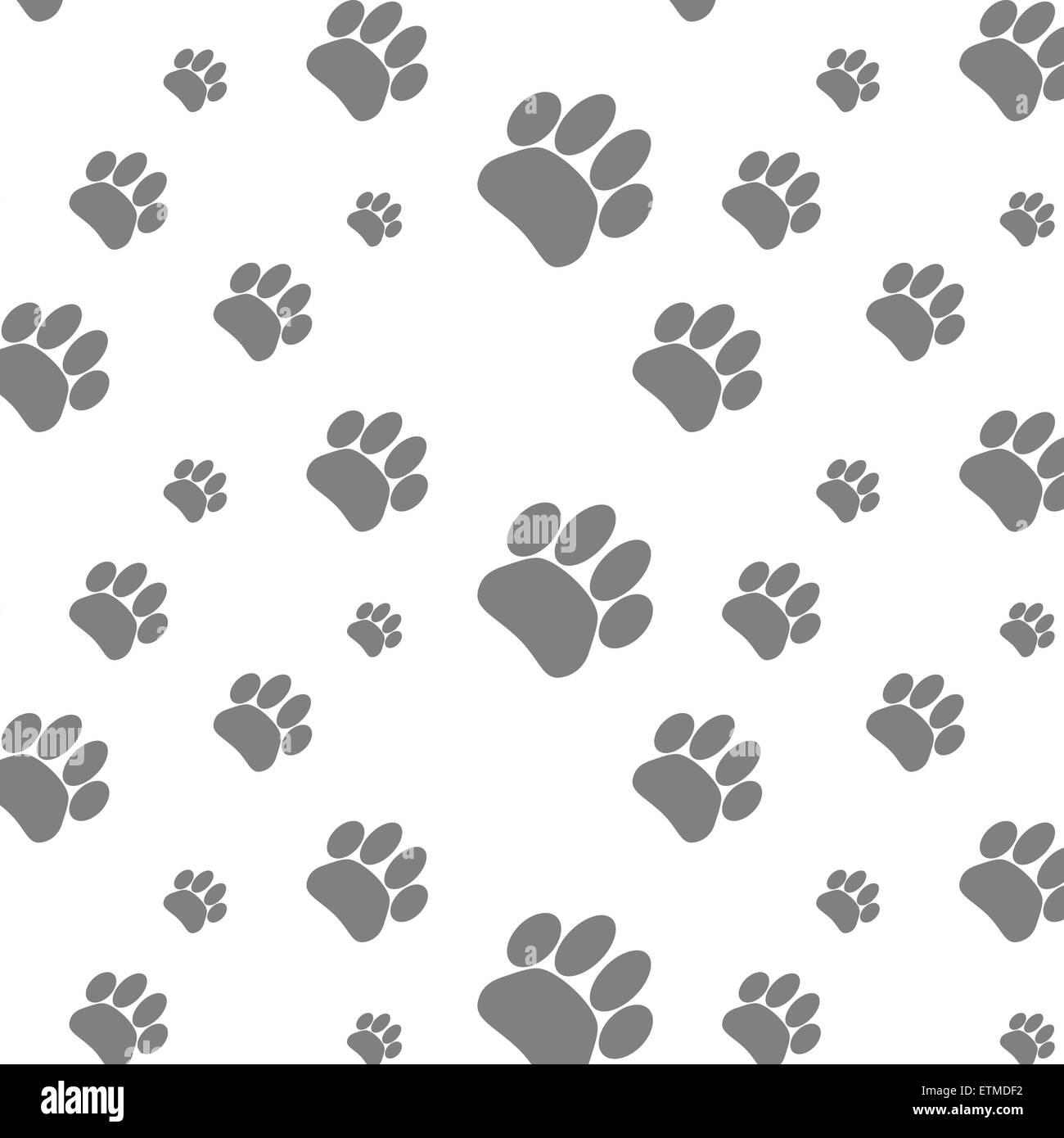 Il picchiettio di Seamless foot print cane. Footprint sfondo animale, paw pet, vagare cucciolo, vettore illustrazione grafica Foto Stock