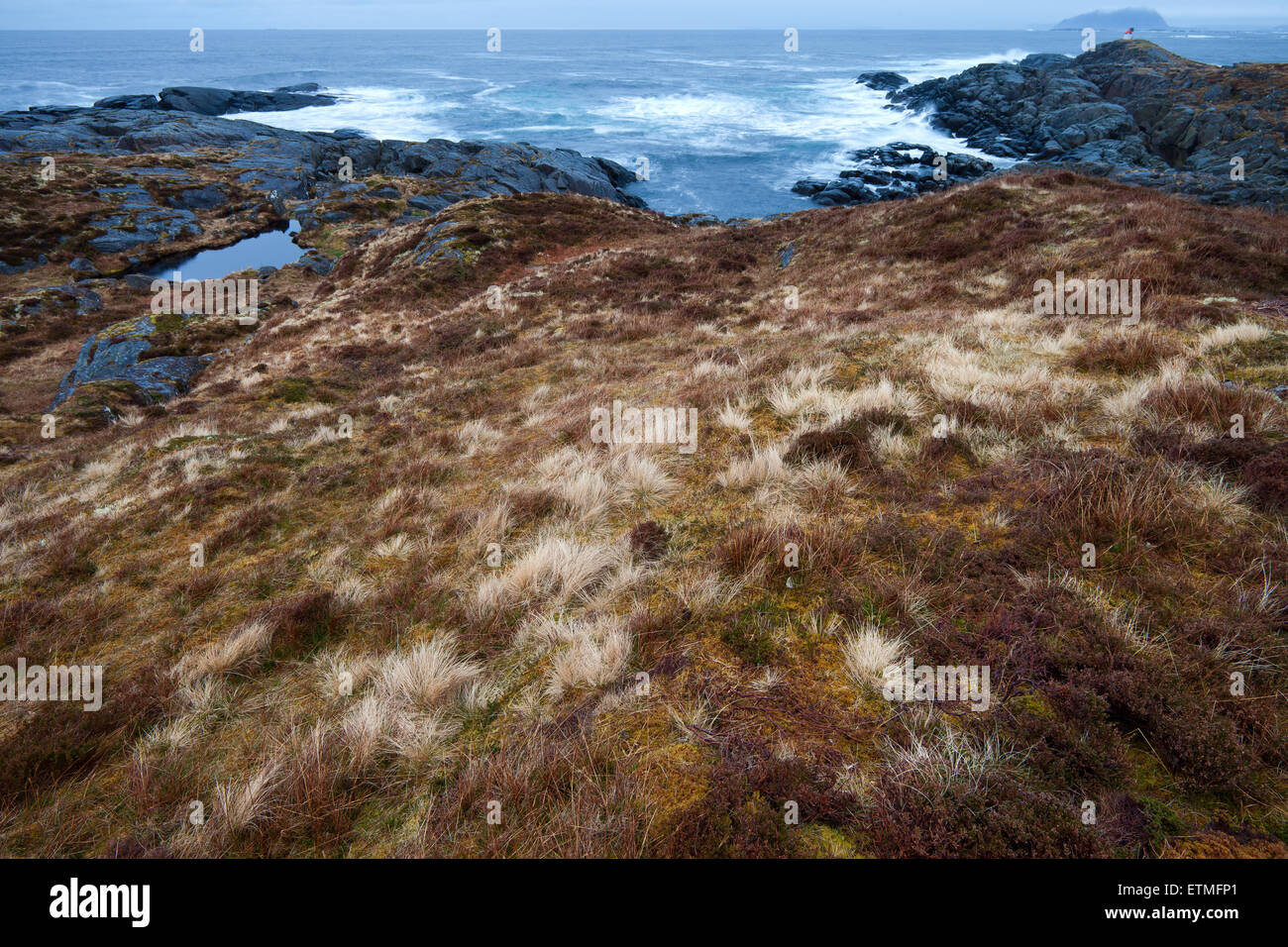 Paesaggio di primavera presso l'isola Runde in Herøy kommune, Møre og Romsdal fylke, Norvegia Foto Stock