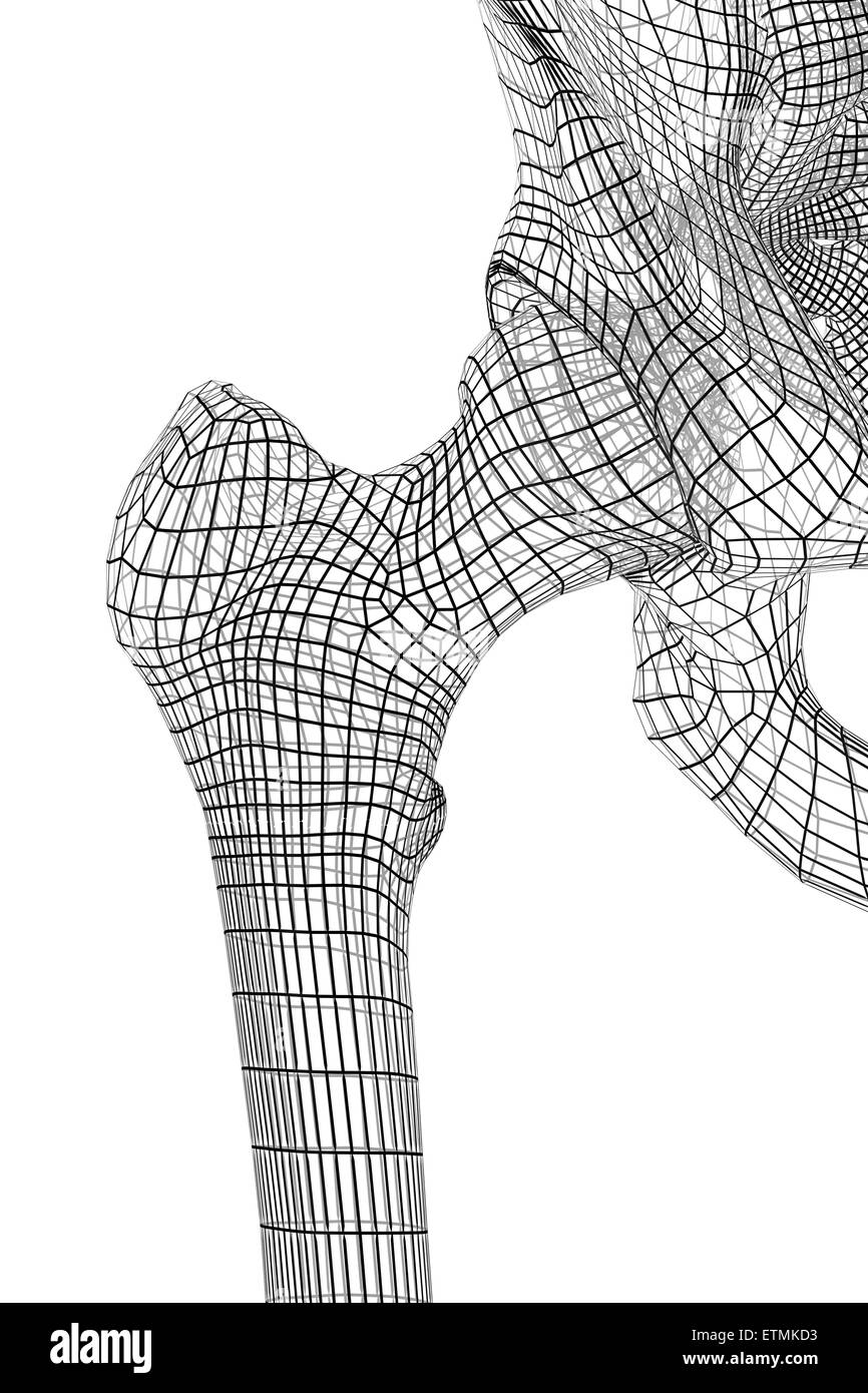 Stilizzata illustrazione che mostra l'articolazione dell'anca. Foto Stock