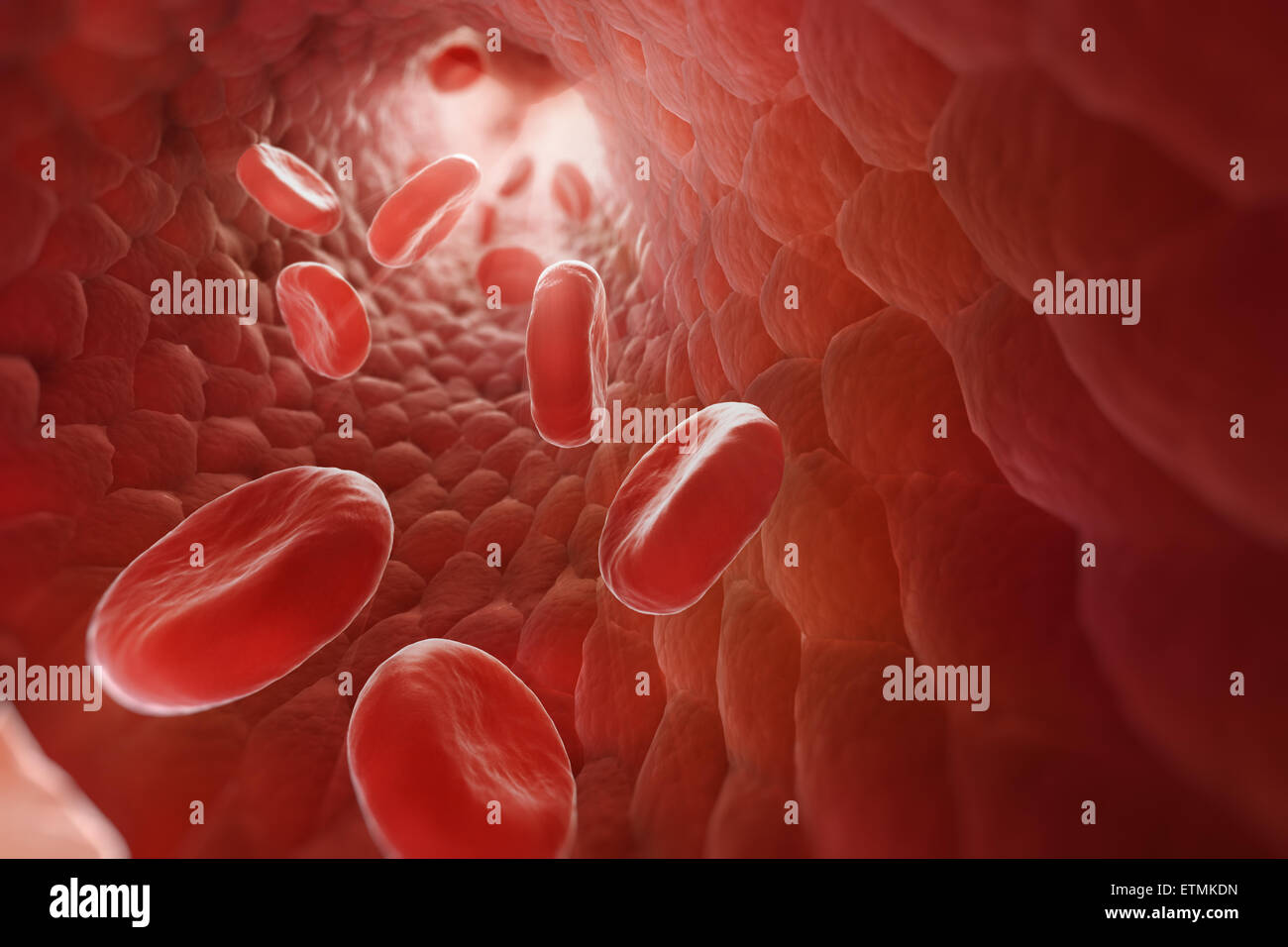 Stilizzata illustrazione che mostra le cellule rosse del sangue che fluisce attraverso il flusso sanguigno. Foto Stock