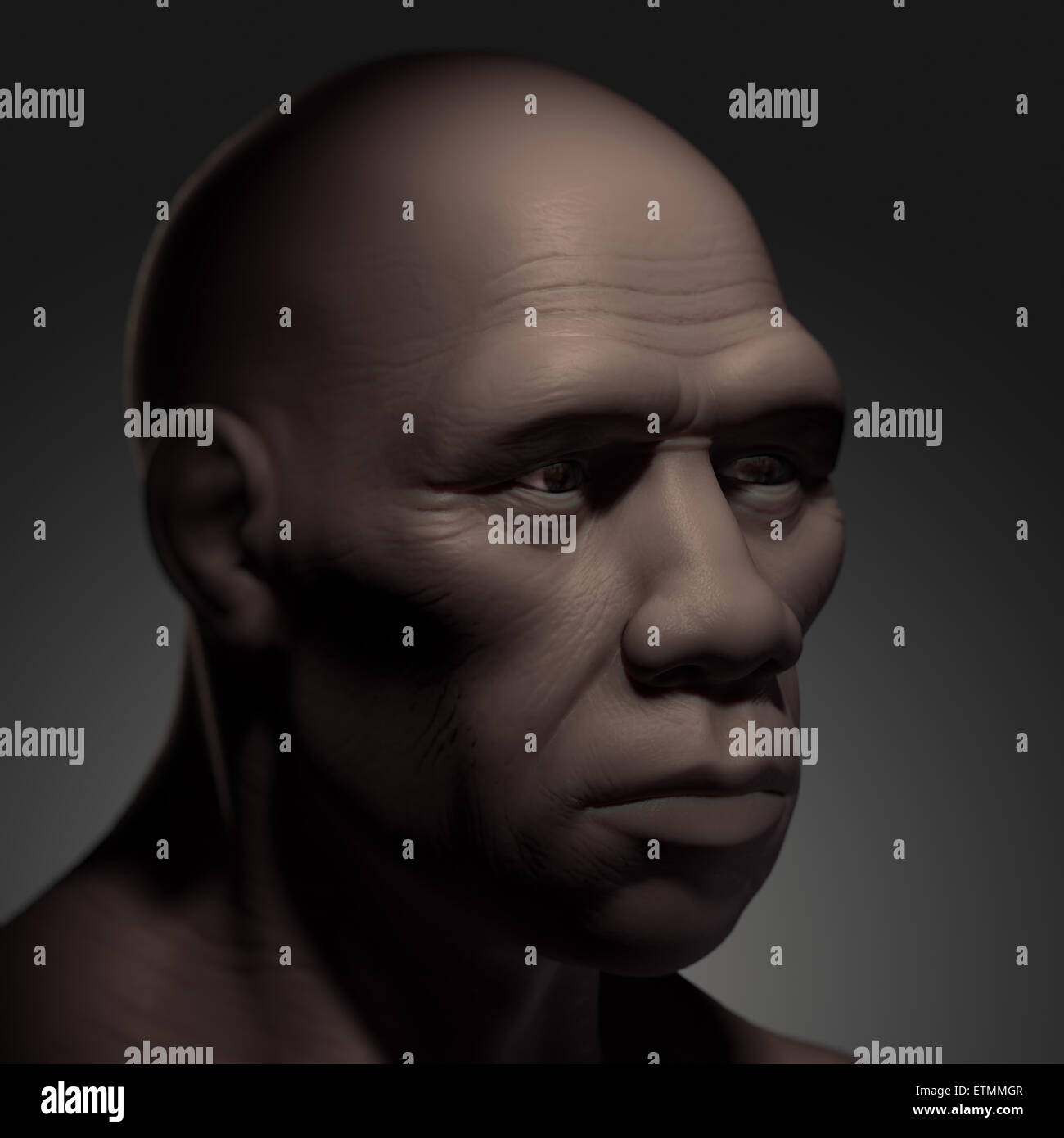 Rappresentazione di un Homo Sapiens, o moderno umano. Foto Stock