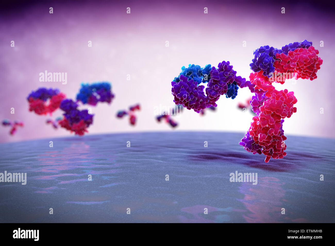 Illustrazione stilizzata di y-anticorpo sagomato 1IGT, parte del sistema immunitario umano. Foto Stock