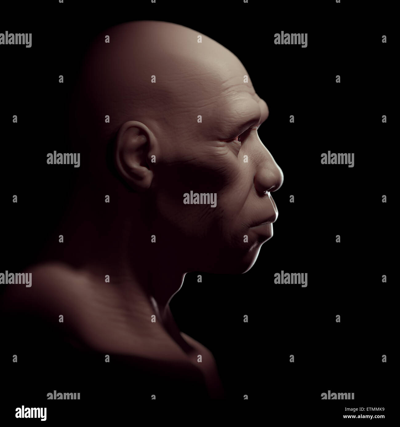 Rappresentazione di un Homo Sapiens, o moderno umano. Foto Stock