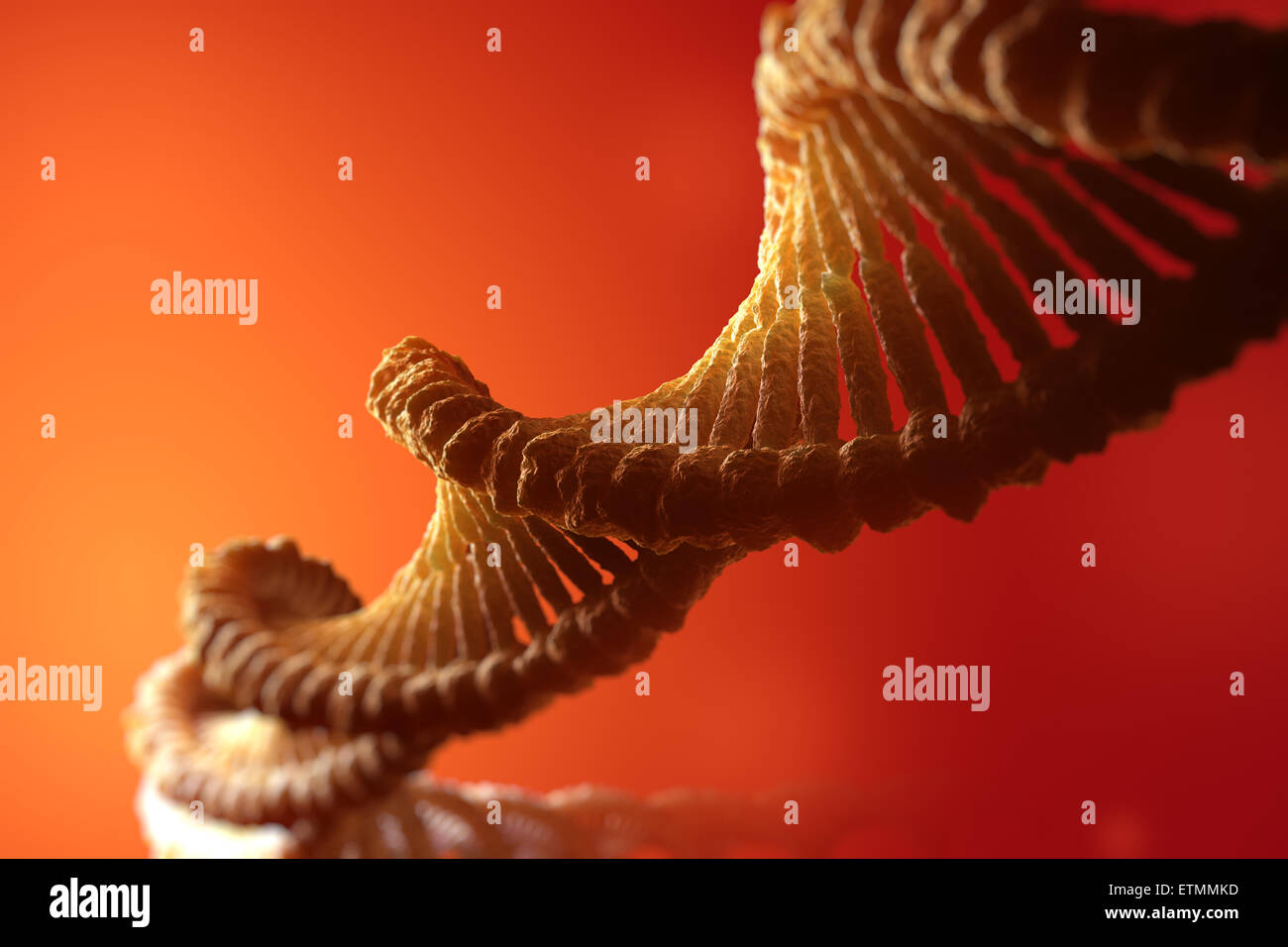 Illustrazione stilizzata di filamenti di DNA umano, acido deossiribonucleico. Foto Stock