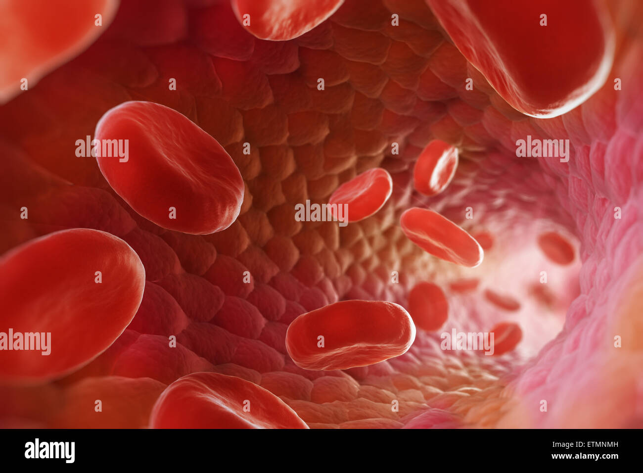 Stilizzata illustrazione che mostra le cellule rosse del sangue che fluisce attraverso il flusso sanguigno. Foto Stock