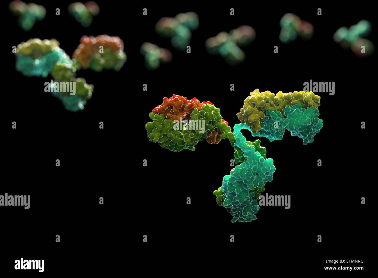 Illustrazione stilizzata di y-anticorpo sagomato 1IGT, parte del sistema immunitario umano. Foto Stock