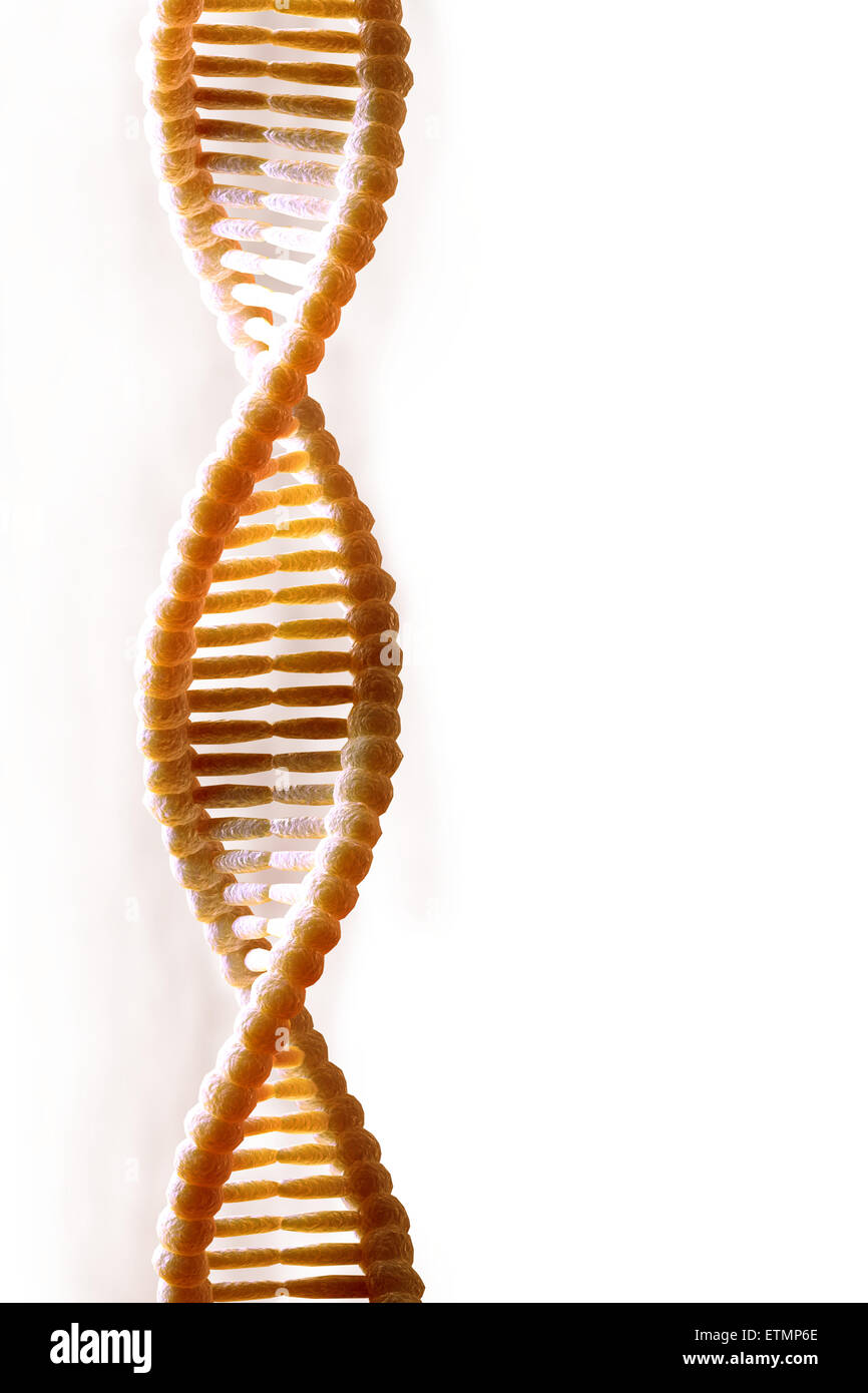 Illustrazione stilizzata di filamenti di DNA umano, acido deossiribonucleico. Foto Stock