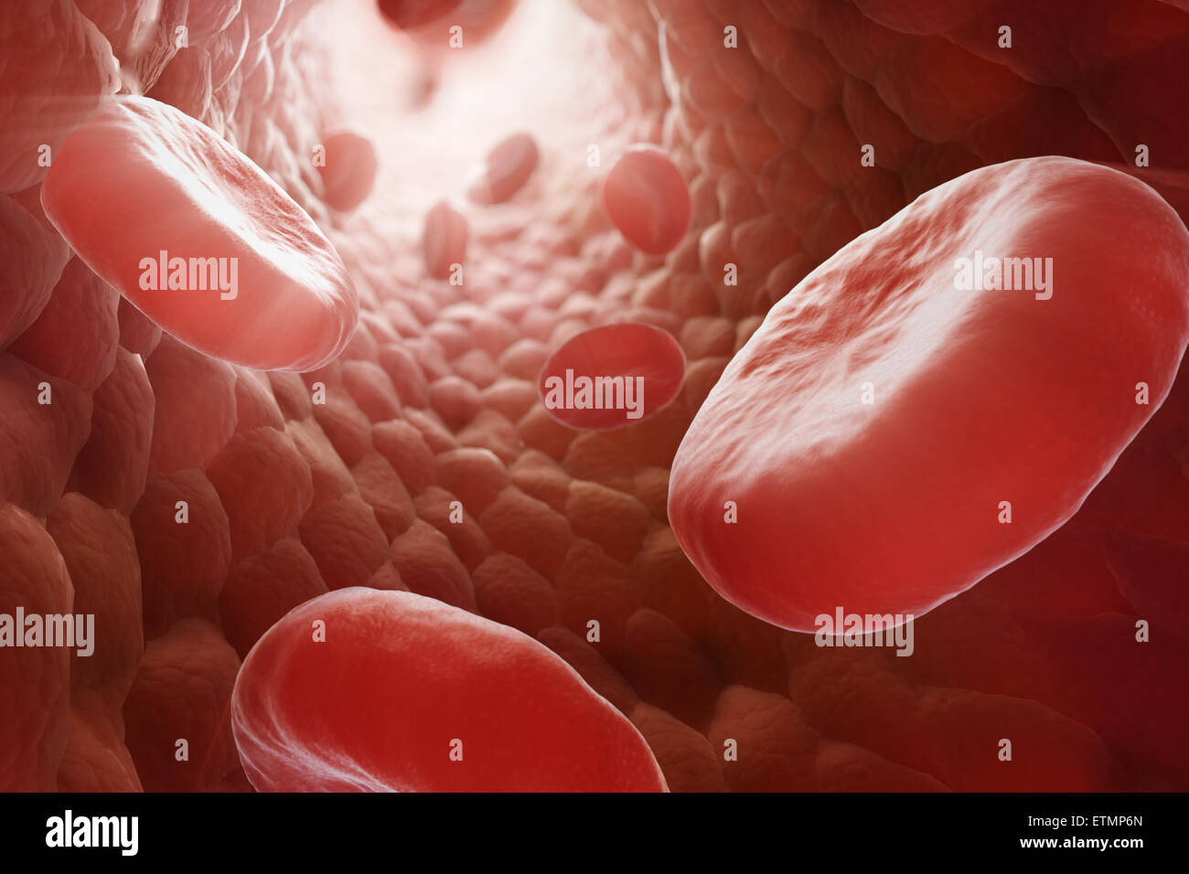 Stilizzata illustrazione che mostra le cellule rosse del sangue che fluisce attraverso il flusso sanguigno. Foto Stock