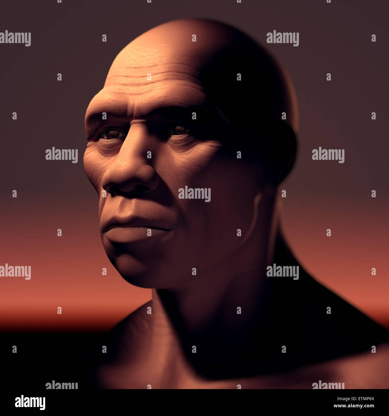 Rappresentazione di un Homo Sapiens, o moderno umano. Foto Stock