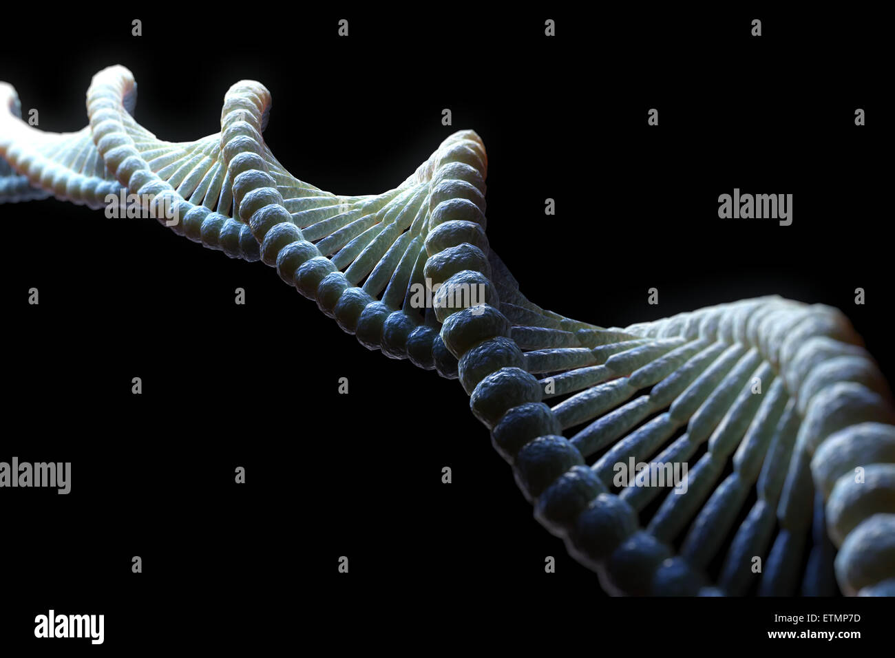 Illustrazione stilizzata di filamenti di DNA umano, acido deossiribonucleico. Foto Stock