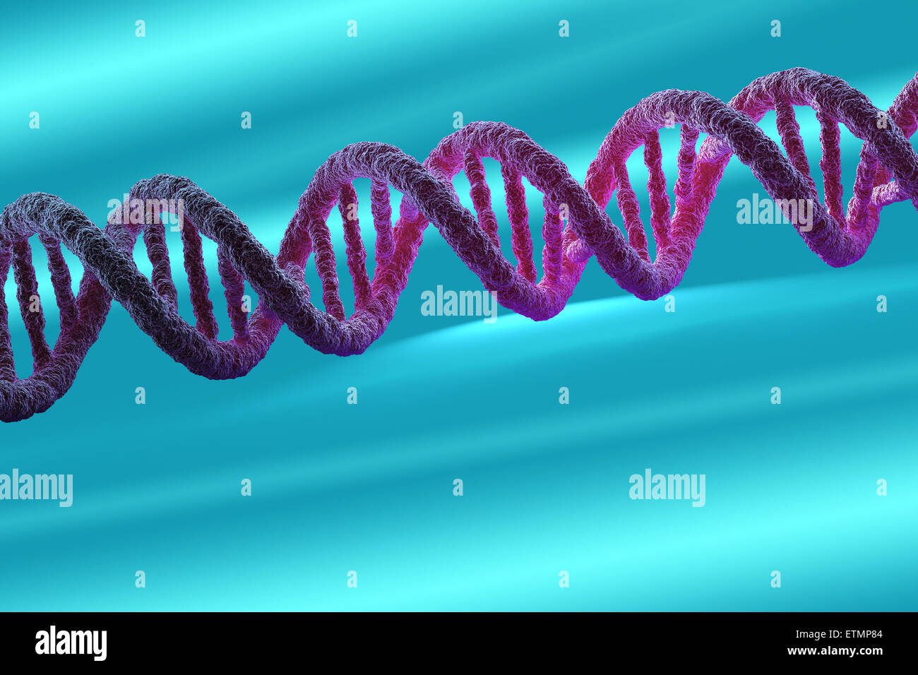 Illustrazione stilizzata di filamenti di DNA umano, acido deossiribonucleico. Foto Stock