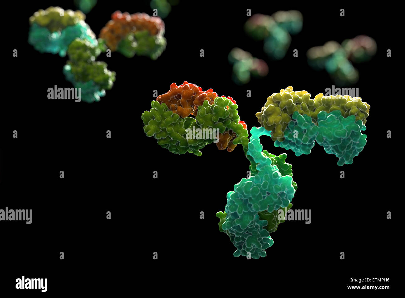 Illustrazione stilizzata di y-anticorpo sagomato 1IGT, parte del sistema immunitario umano. Foto Stock