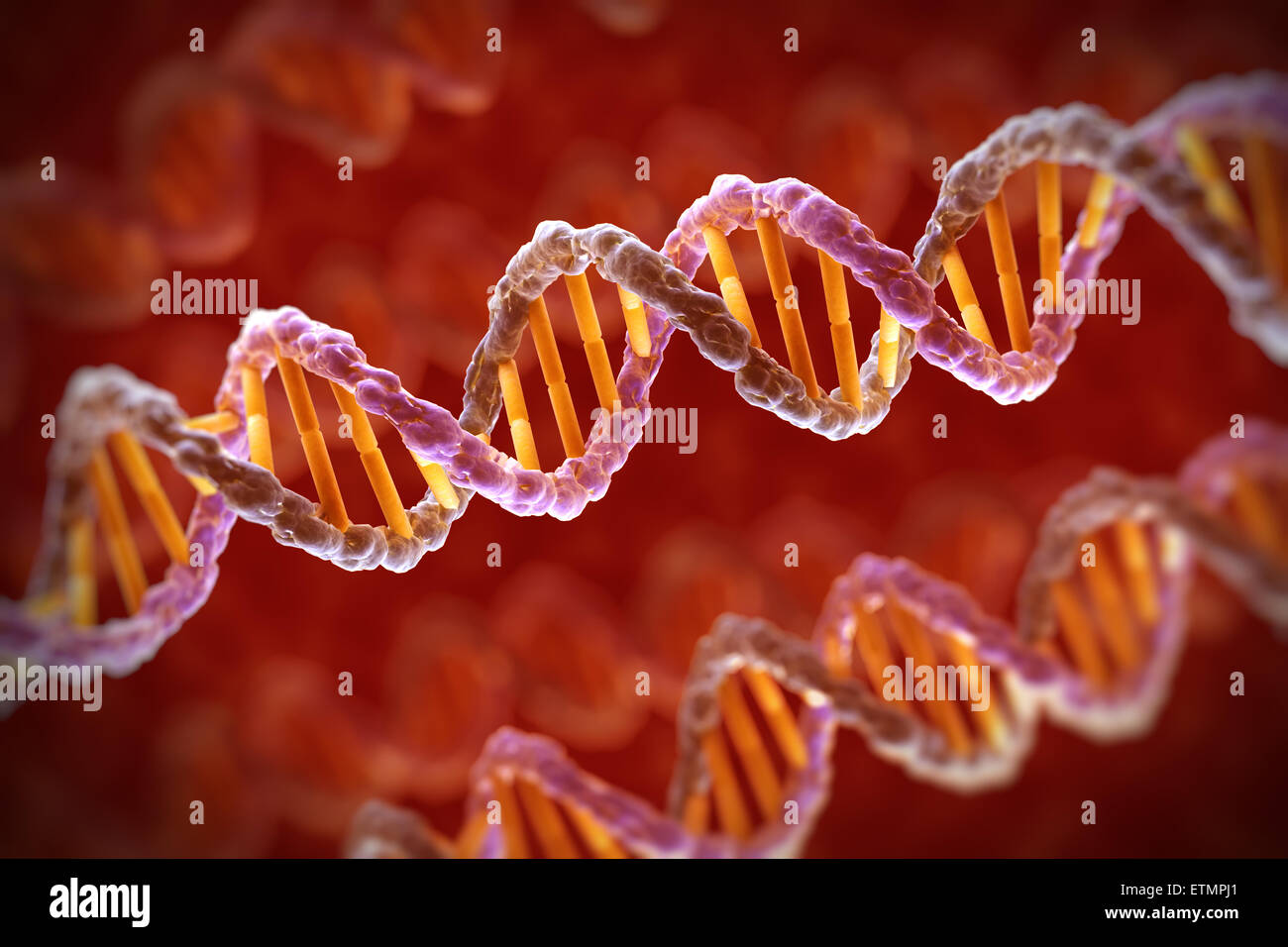 Illustrazione stilizzata di filamenti di DNA umano, acido deossiribonucleico. Foto Stock