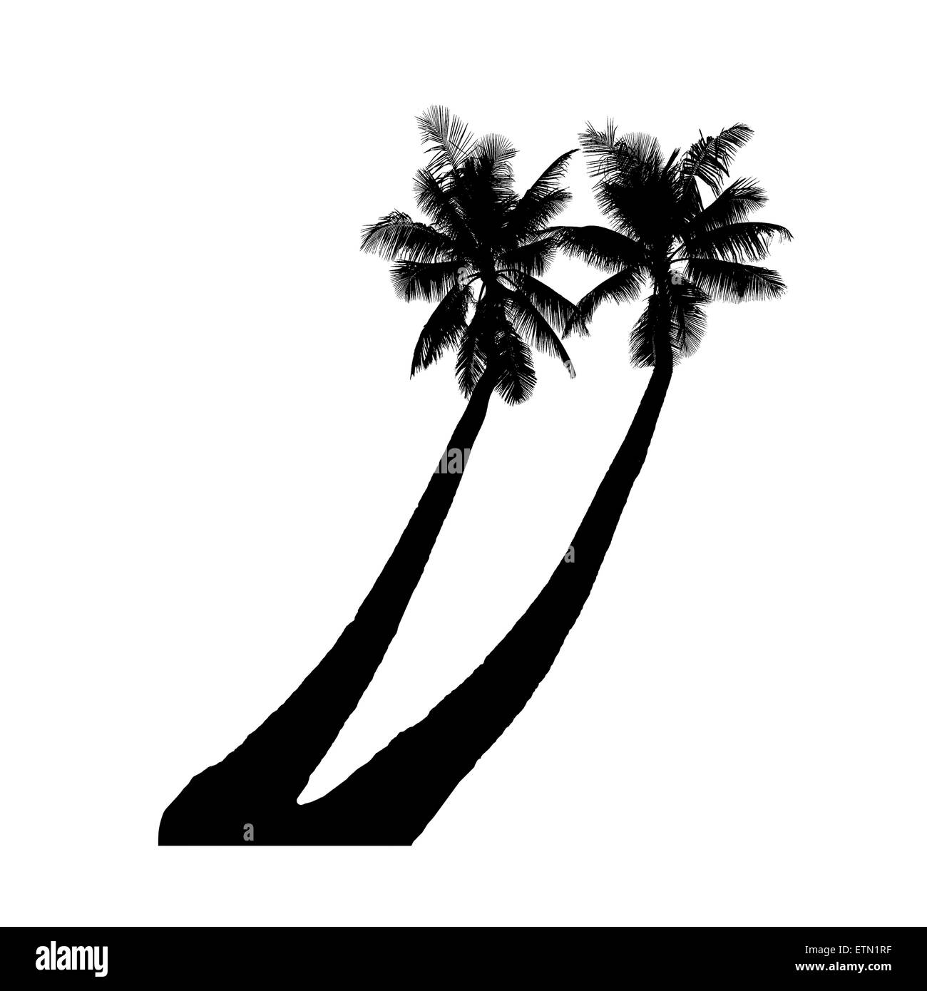 Illustrazione della struttura Palm Tree silhouettes, isolato su bianco Foto Stock