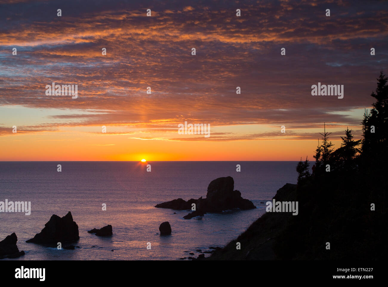 Impostazione della luce solare su Seastacks e Ecola State Park vicino a Cannon Beach, Oregon, Stati Uniti d'America Foto Stock