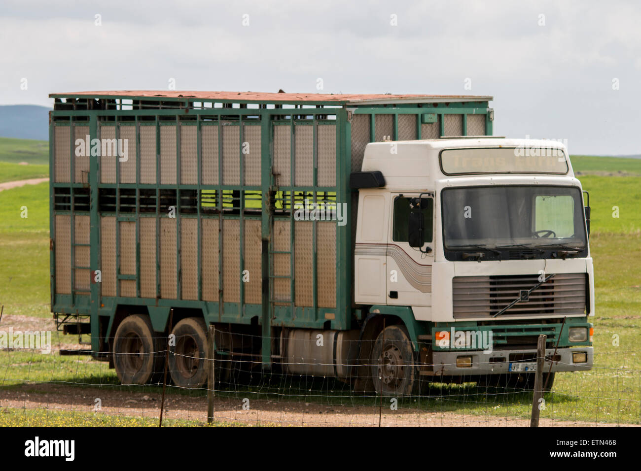 Vista di un animale carrello di trasporto sulla campagna. Foto Stock