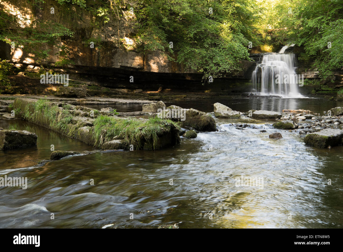 Calderone Falls, Walden Beck, di West Burton, Yorkshire Dales National Park, Inghilterra Foto Stock