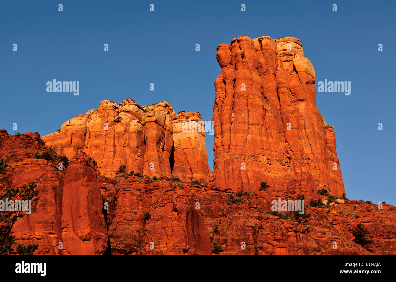 La Sposa di Cattedrale Rock, Sedona, Yavapai County, Arizona, Stati Uniti d'America Foto Stock