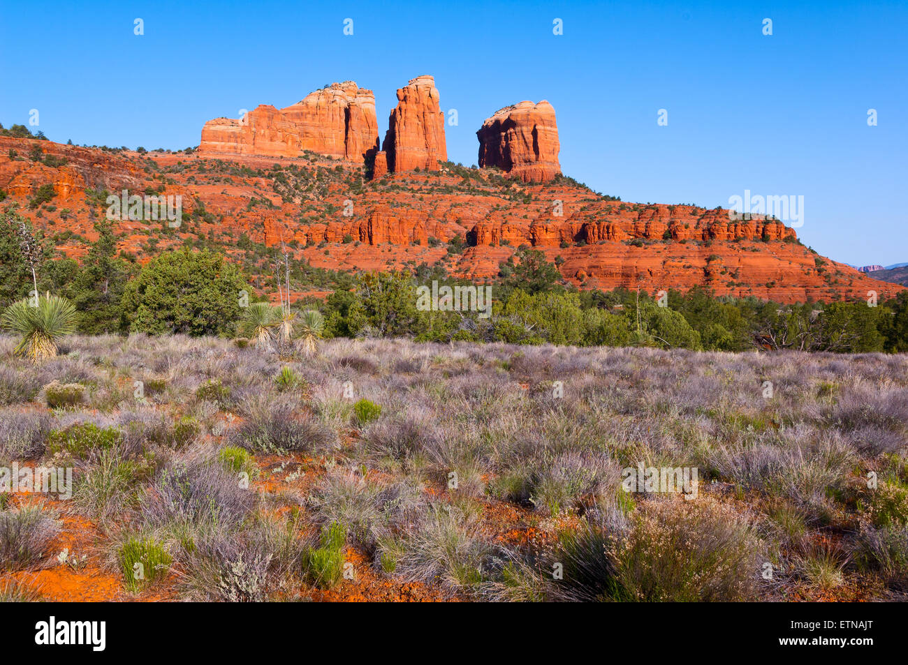 Sedona la cattedrale di roccia, Sedona, Yavapai County, Arizona, Stati Uniti d'America Foto Stock