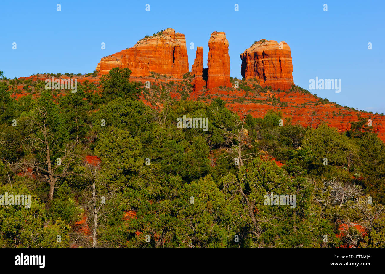 Cattedrale Rock, Sedona, Yavapai County, Arizona, Stati Uniti d'America Foto Stock