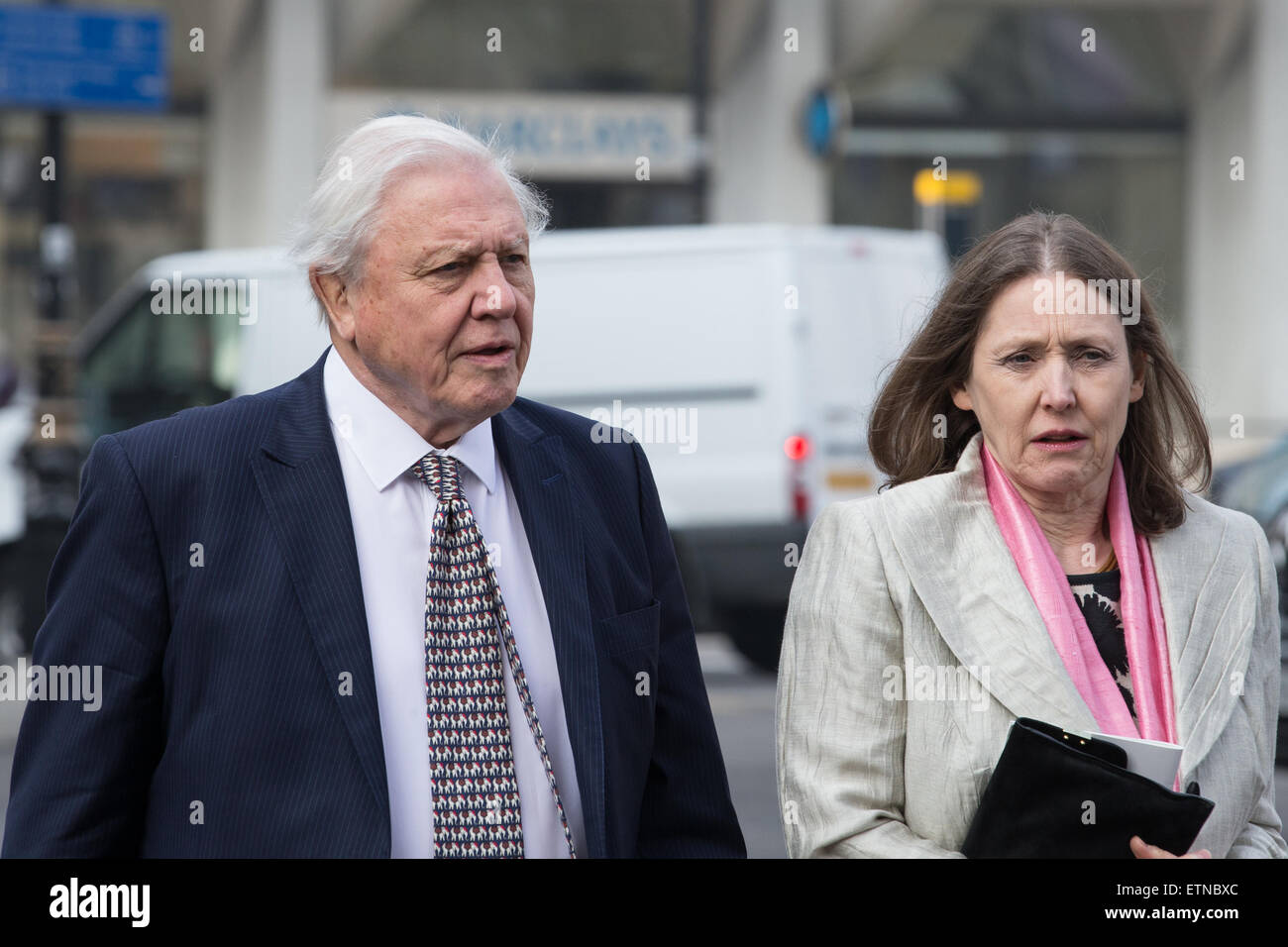 Memoriale di servizio per Lord Richard Attenborough presso Westminster Abbey - Arrivi con: Sir David Attenborough dove: Londra, Regno Unito quando: 17 Mar 2015 Credit: Mario Mitsis/WENN.com Foto Stock