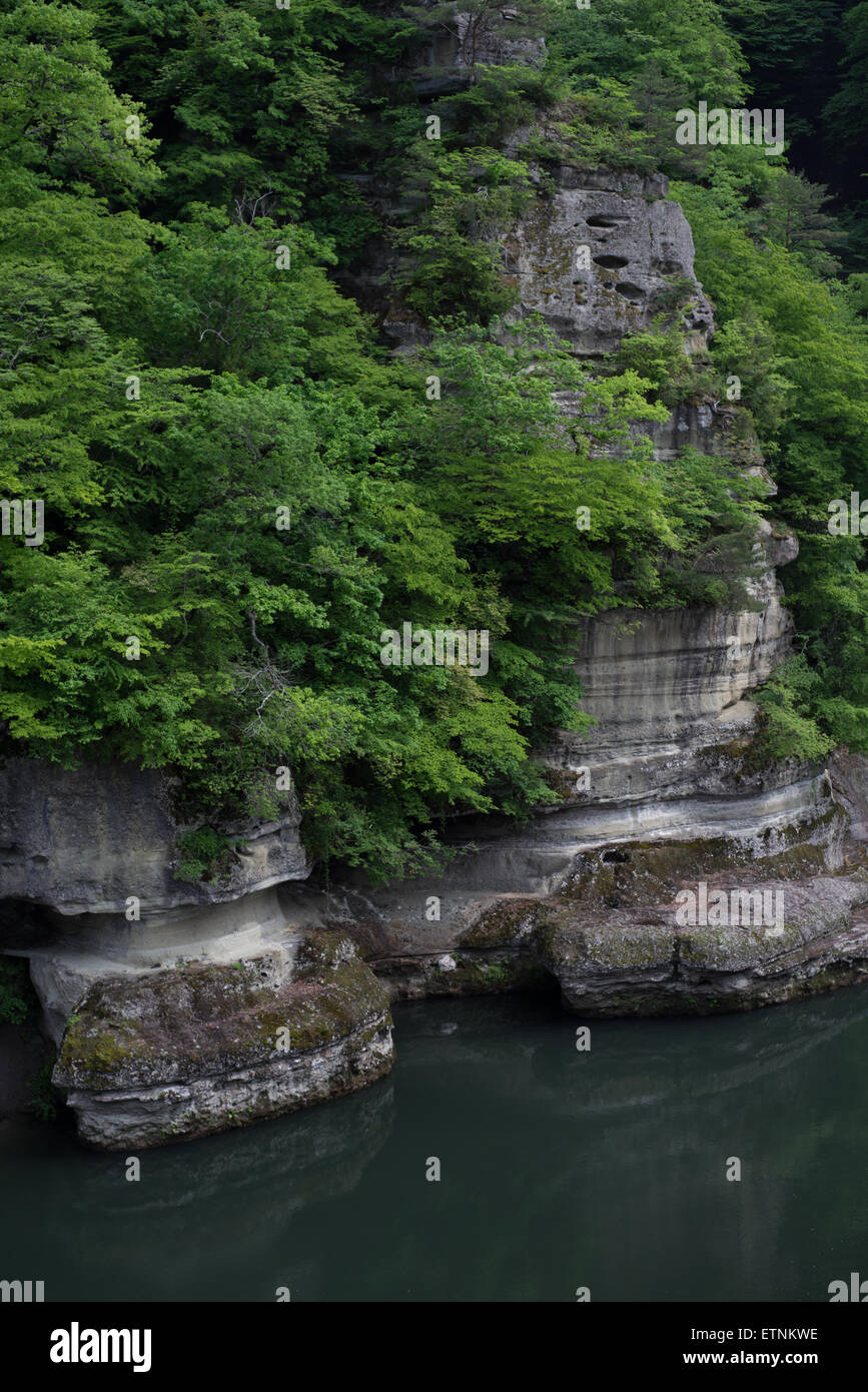 Formazioni di roccia vulcanica in Shimogo, Fukushima Prefettura, Giappone Foto Stock