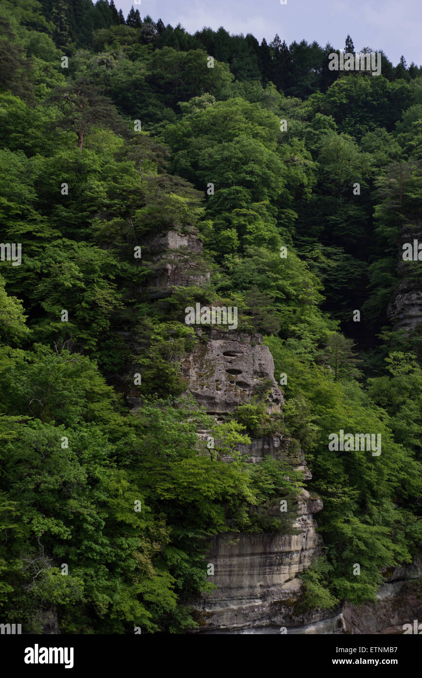 Formazioni di roccia vulcanica in Shimogo, Fukushima Prefettura, Giappone Foto Stock