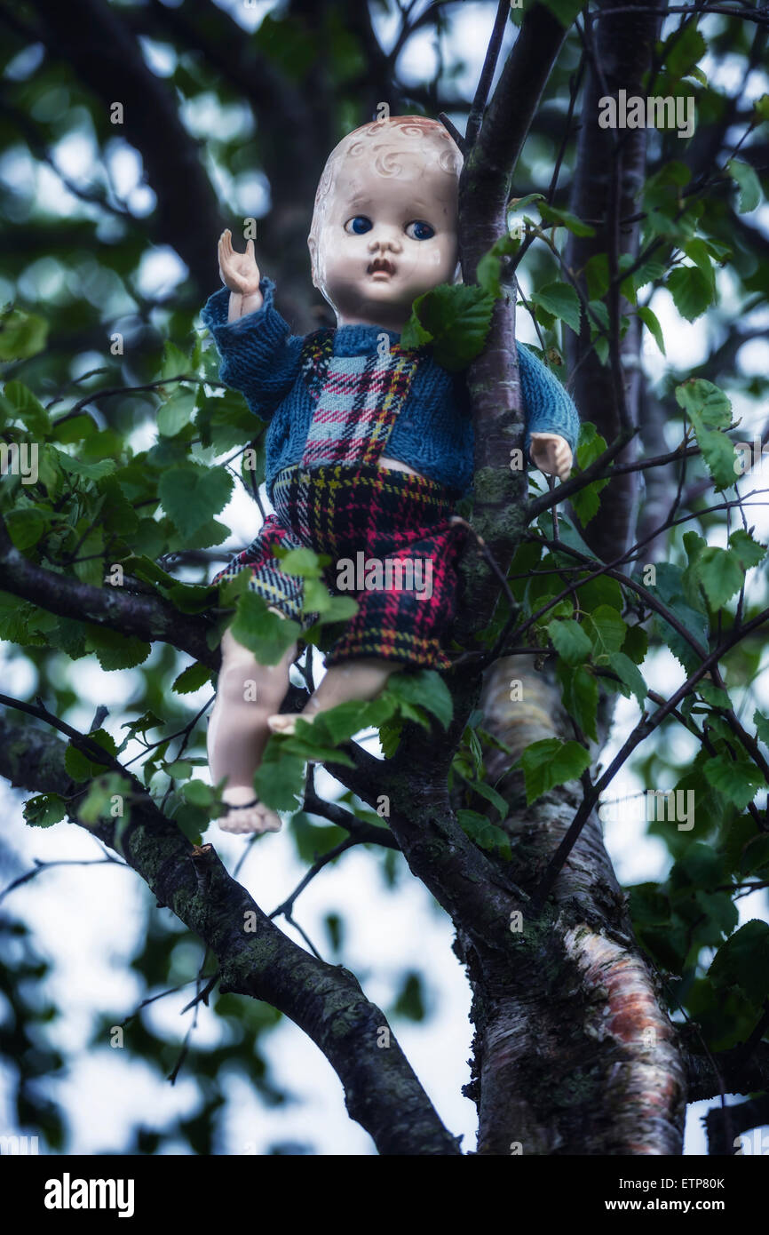 Una vecchia bambola è seduto su una struttura ad albero Foto Stock