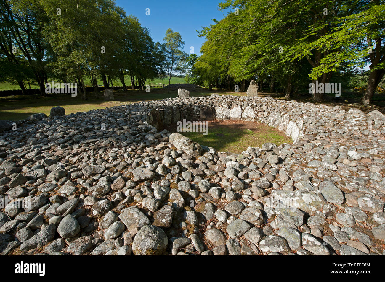 Il Neolitico preistorici luogo di sepoltura al Balnuran Clava Cairns, nelle vicinanze Culloden, Inverness-shire. SCO 9873. Foto Stock